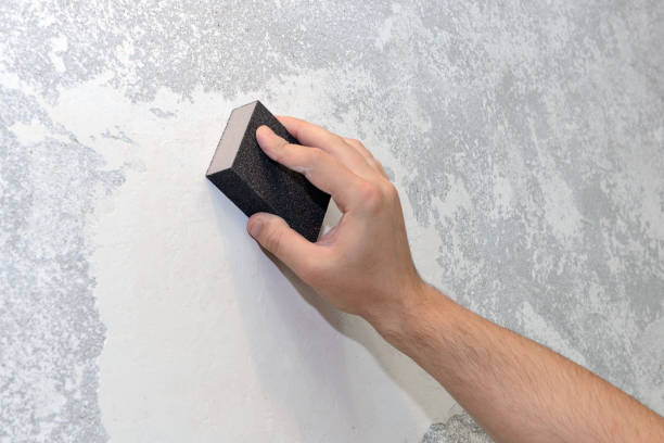 Best Residential Mold Inspection & Testing  in Pine Mountain Clu, CA
