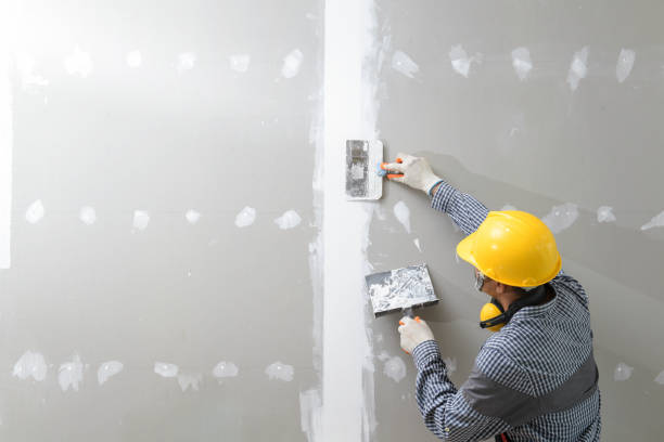 Best Dehumidification Services  in Pine Mountain Clu, CA