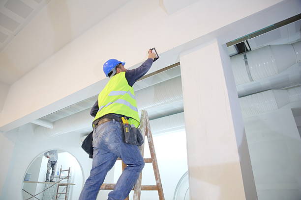 Best Commercial Mold Inspection  in Pine Mountain Clu, CA